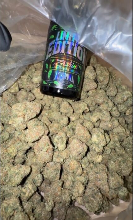 Zashimi Strain
