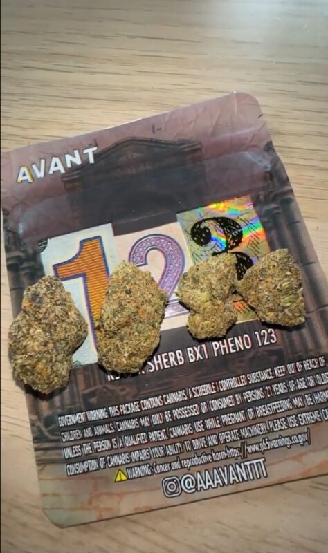 Avant RS11 x Sherb