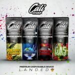 THE CALI CHAP VAPE